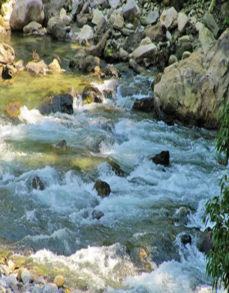 Picture17